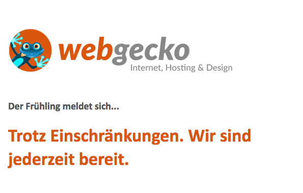 Webgecko_NL_02-2020