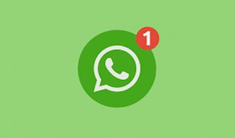 Blog Webgecko Support Whatsapp